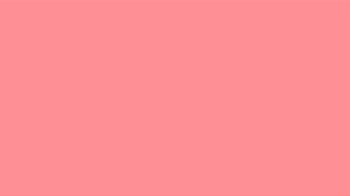 赤モニターシート1600×900.png